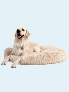 Pet Bed