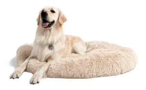 Pet Bed