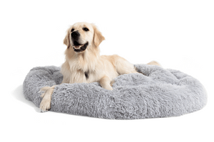 Pet Bed